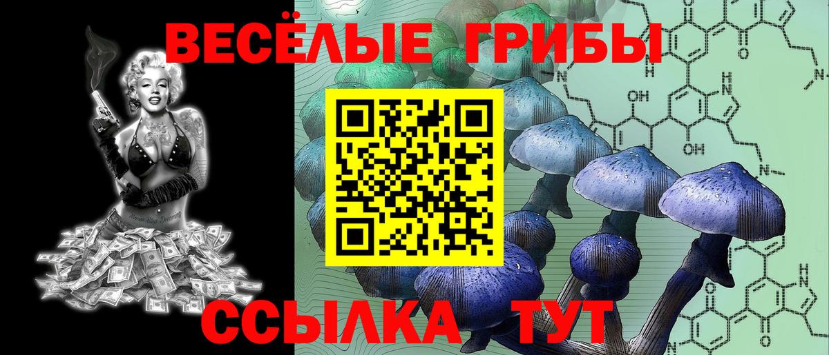 Псилоцибиновые грибы Psilocybine cubensis  Вход с VPN  Приморско-Ахтарск  Псилоцибиновые грибы Cubensis 